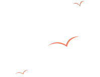 Private Dinner on Dunes