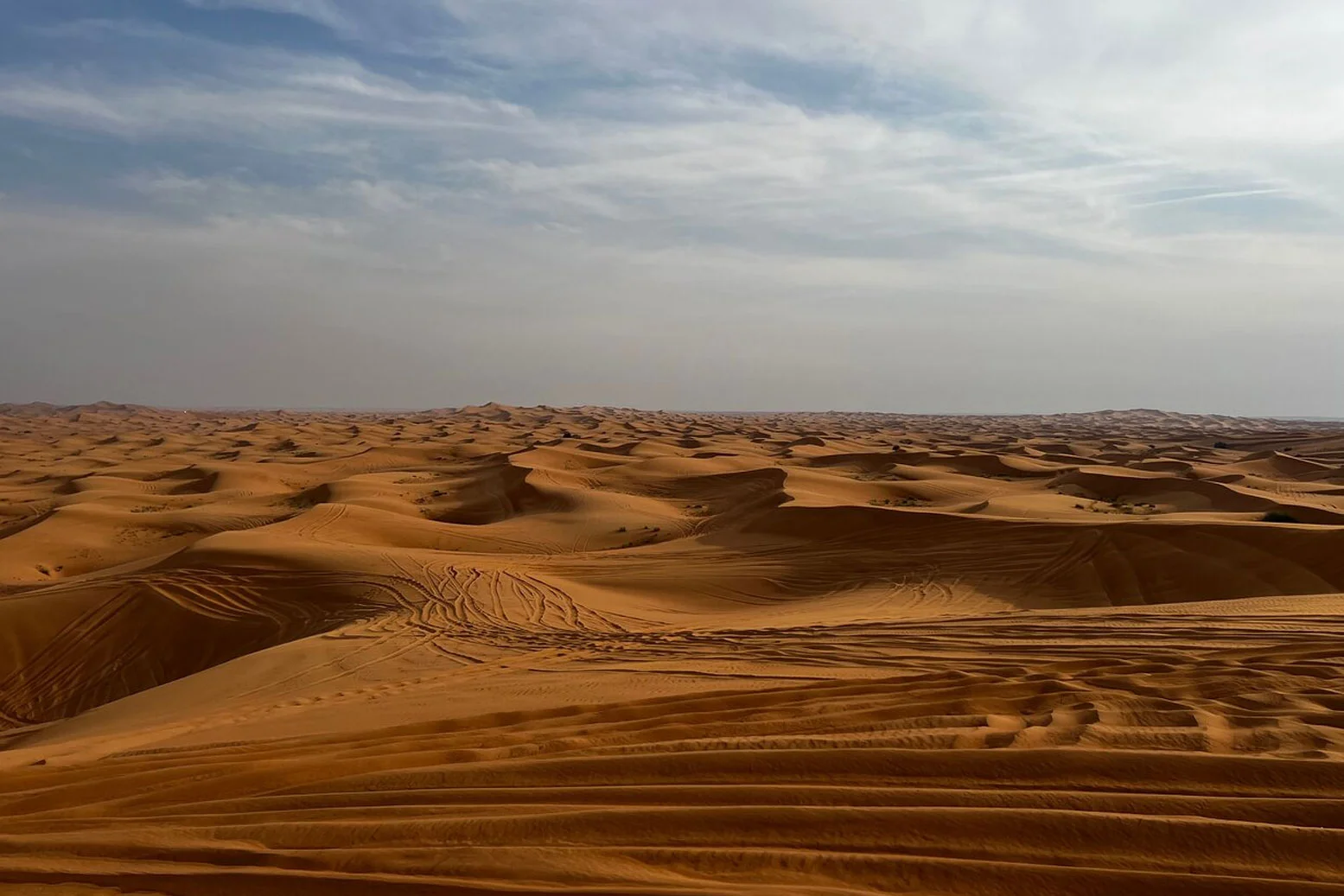 Private Dinner on Dunes