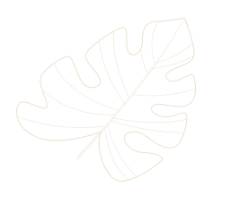 Jaisalmer Dinner on Dunes